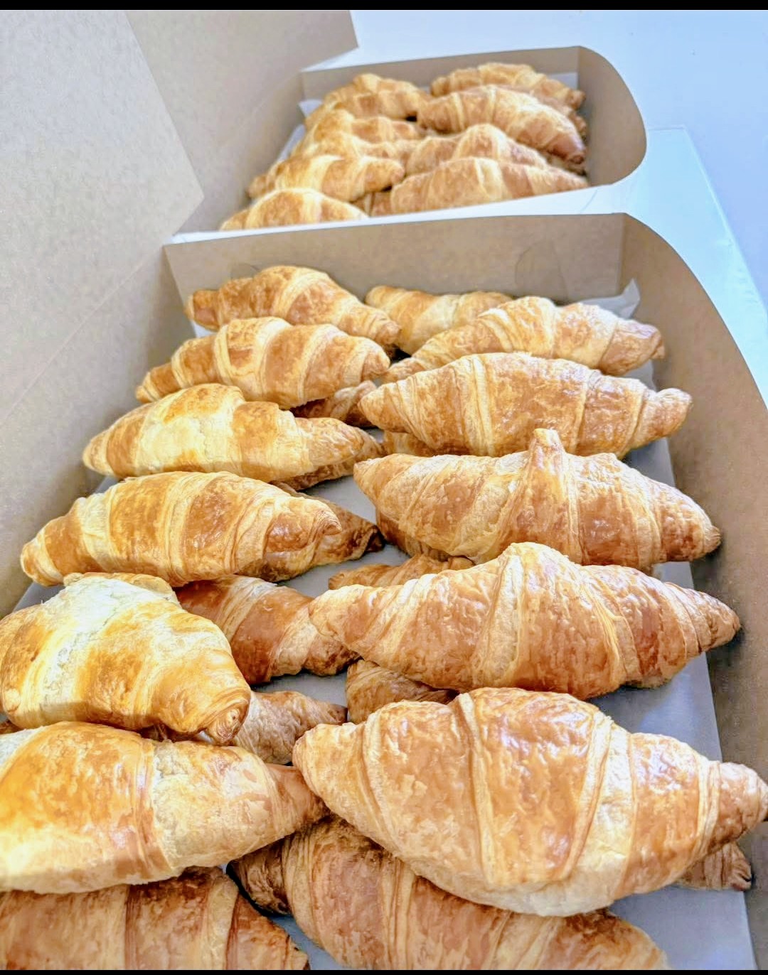 Croissants boite de 8 unités.